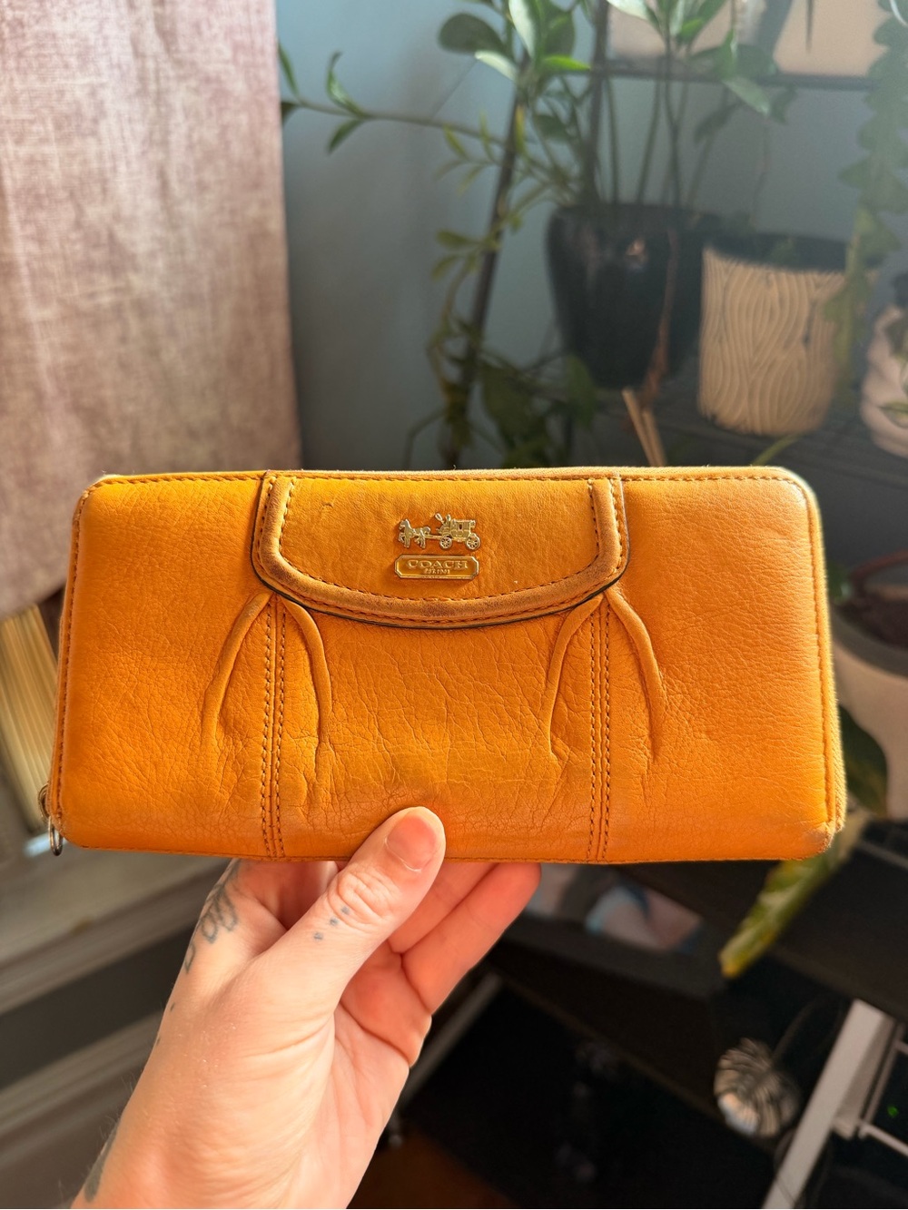 Coach Madison accordion zip wallet - mustard yellow
